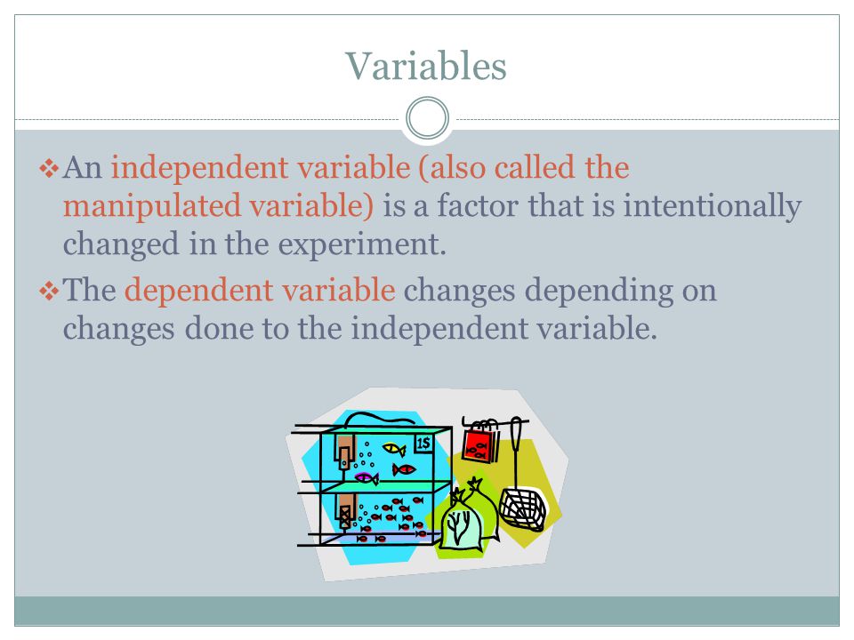 Variables An independent variable (also called the manipulated variable) is a factor that is intentionally changed in the experiment.