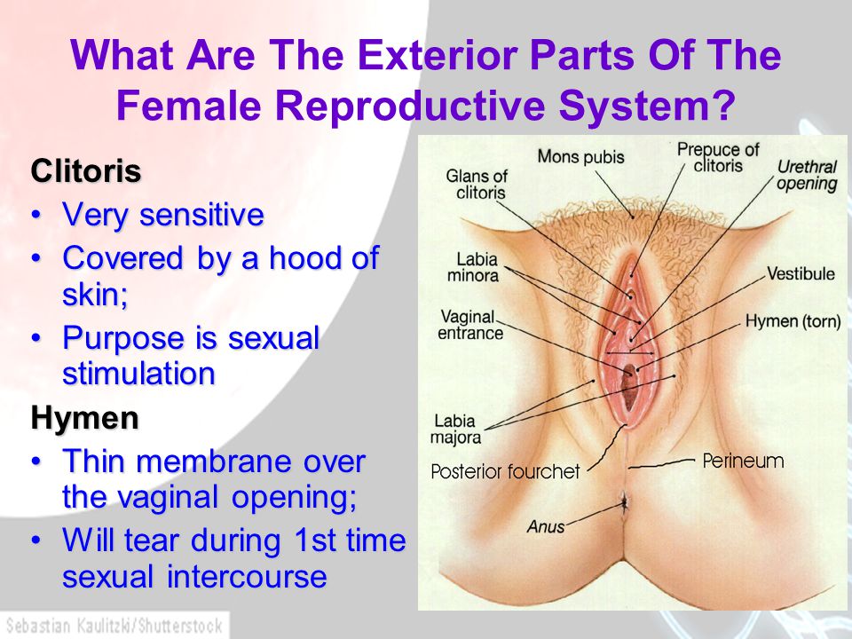 Clitoris Problems