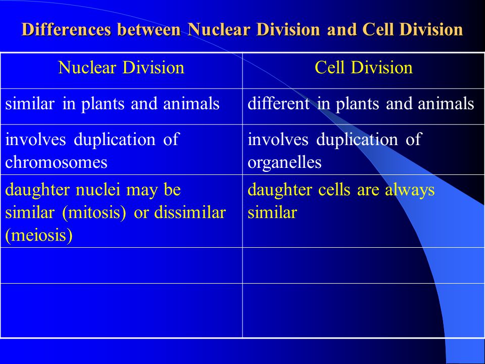 what is the process of nuclear division called