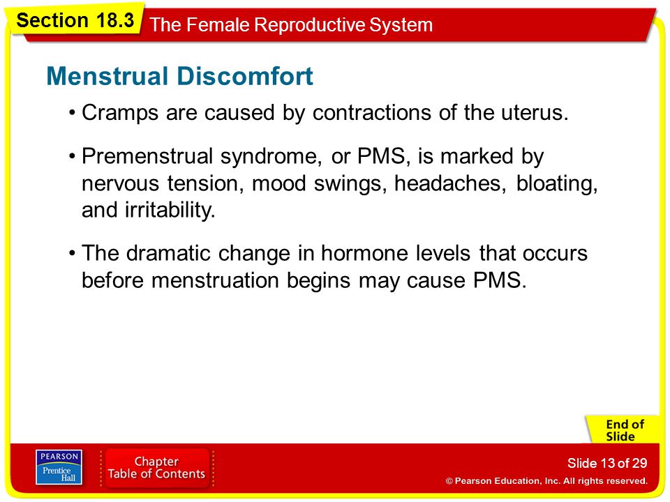 Menstrual Discomfort Cramps are caused by contractions of the uterus.