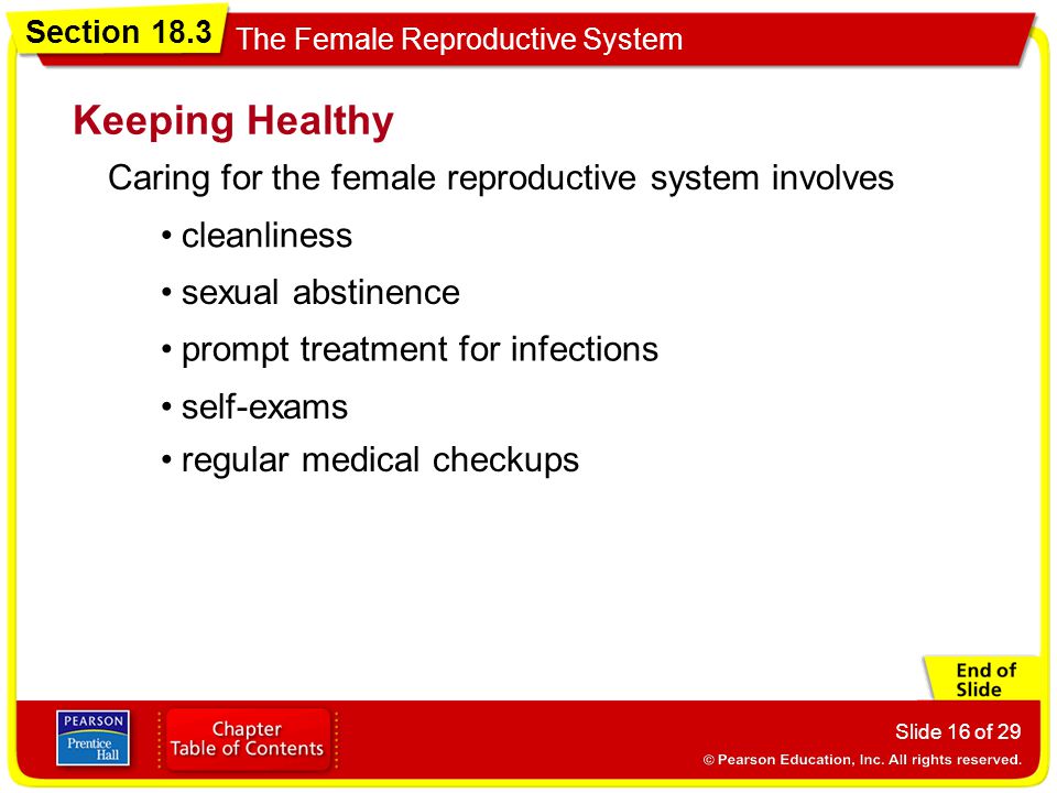 Keeping Healthy Caring for the female reproductive system involves