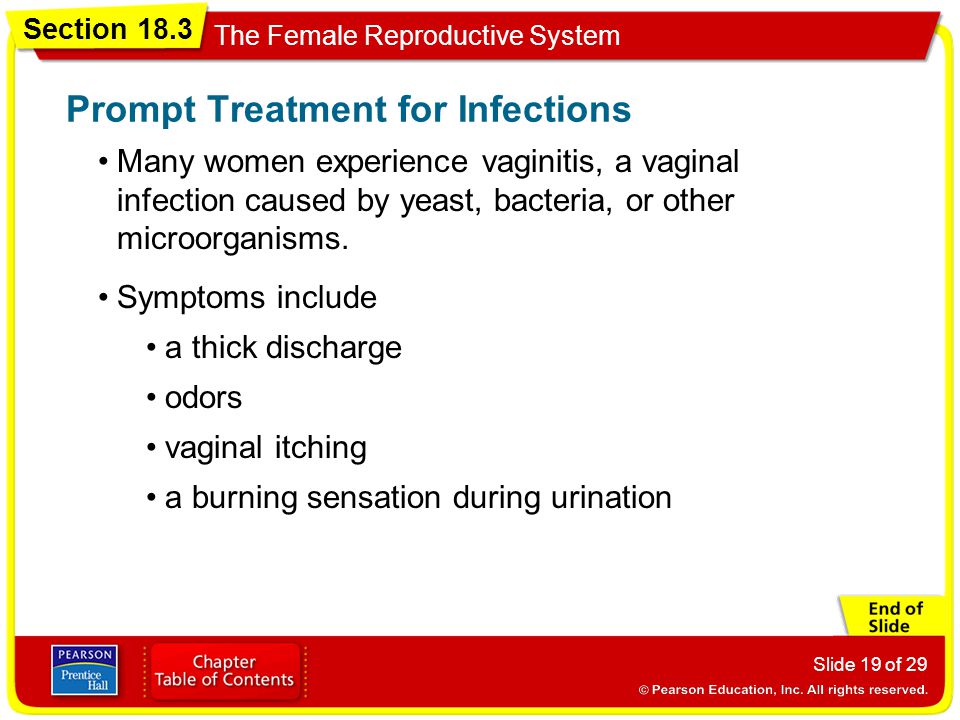 Prompt Treatment for Infections