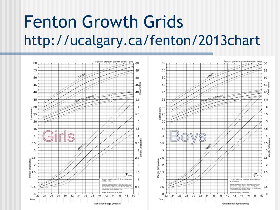 Fenton Growth Chart Boy