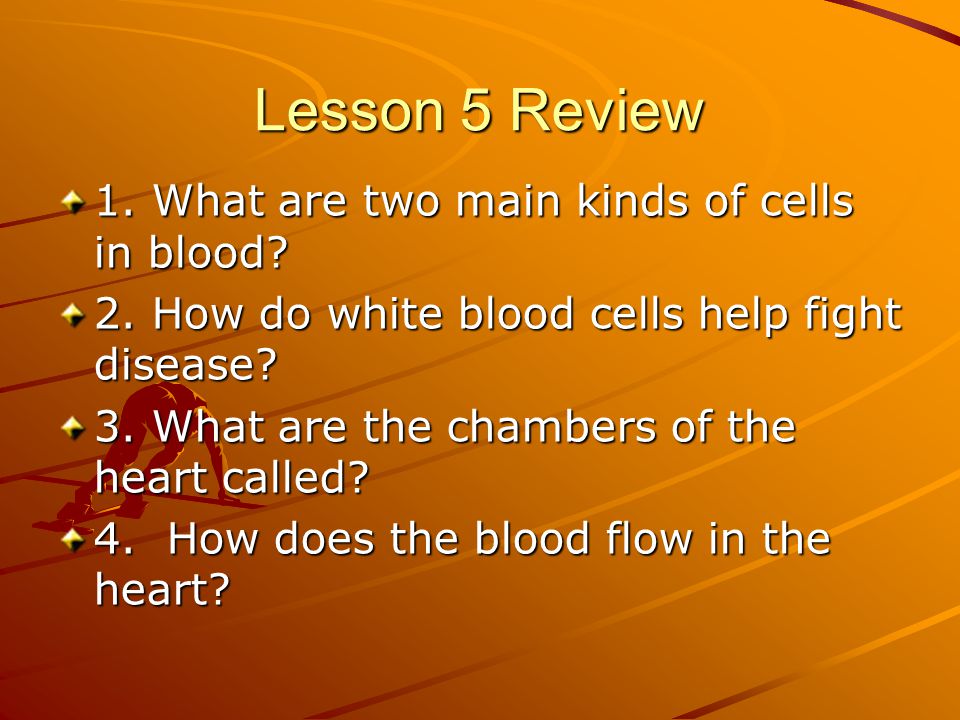 Lesson 5 Review 1. What are two main kinds of cells in blood