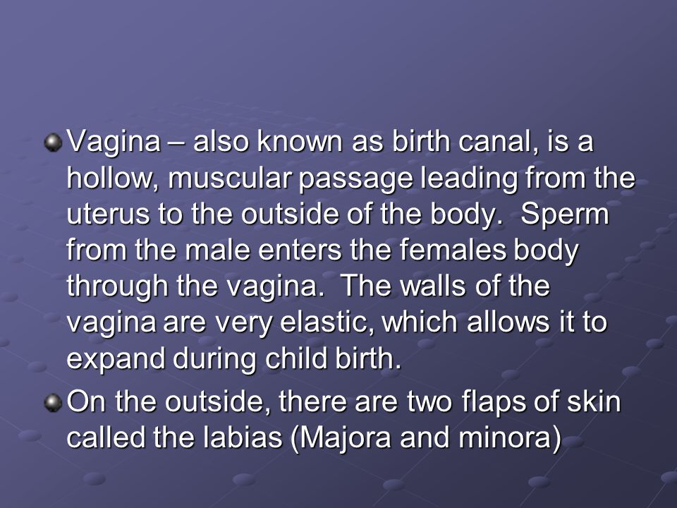 Vagina – also known as birth canal, is a hollow, muscular passage leading from the uterus to the outside of the body. Sperm from the male enters the females body through the vagina. The walls of the vagina are very elastic, which allows it to expand during child birth.