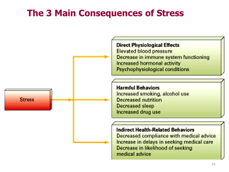 Stress and behavior