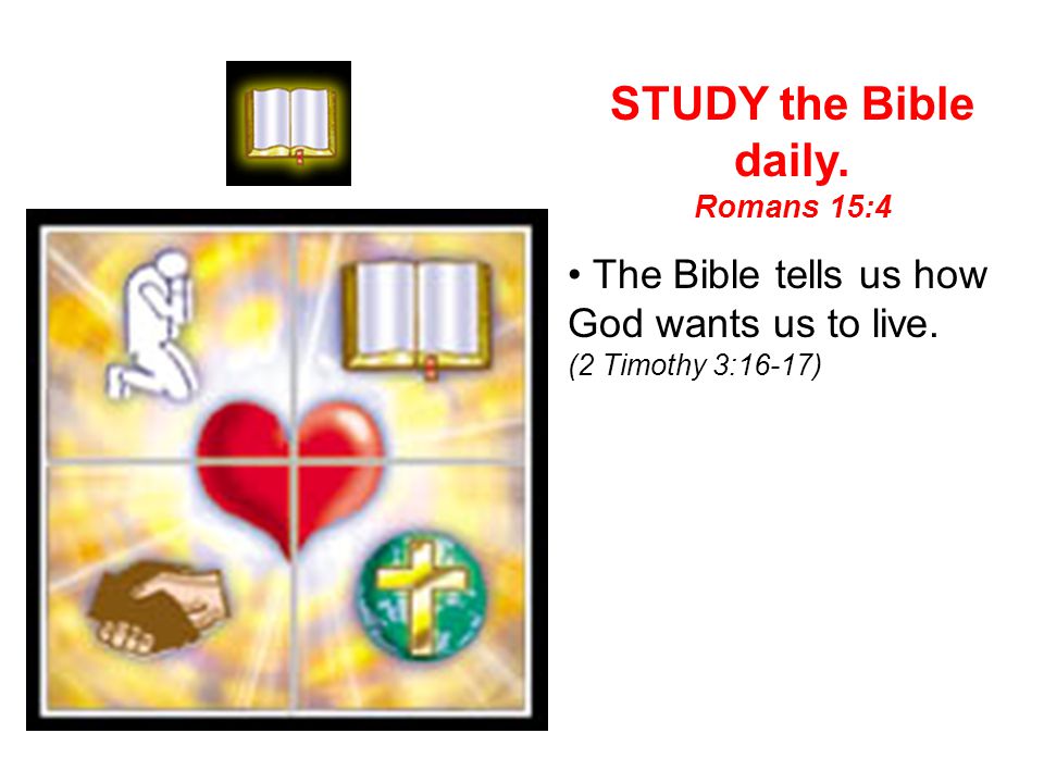 STUDY the Bible daily. • The Bible tells us how God wants us to live.