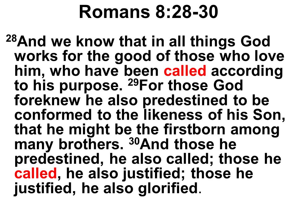 Romans 8:28-30