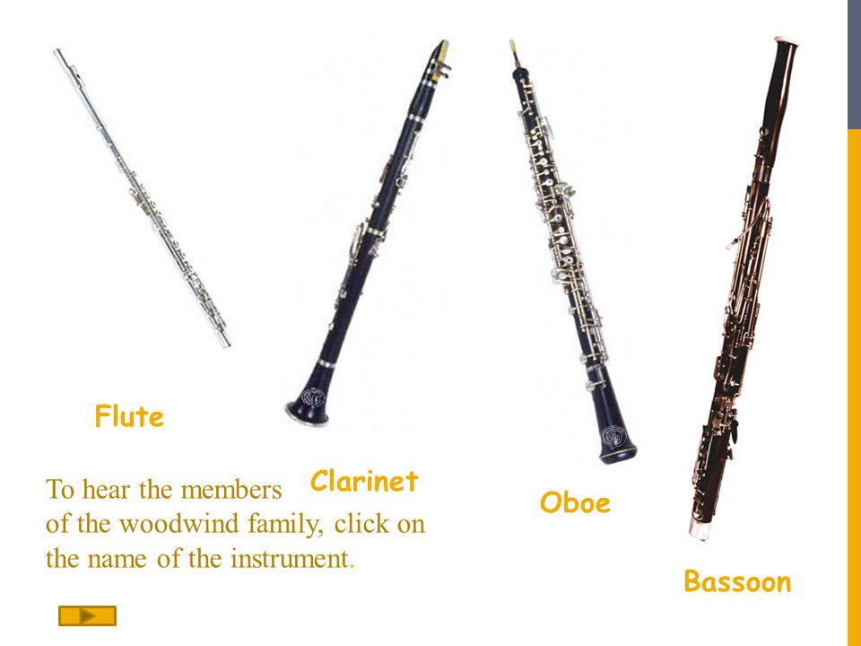 Гобой труба кларнет. Флейта гобой кларнет Фагот. Кларнет, рекордер, гобой. Кларнет гобой Фагот валторна. Фагот деревянный духовой музыкальный инструмент.