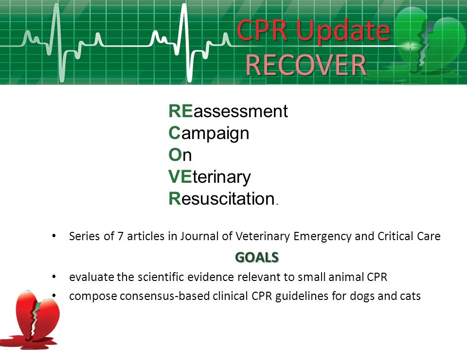 Veterinary Cpr Drug Chart