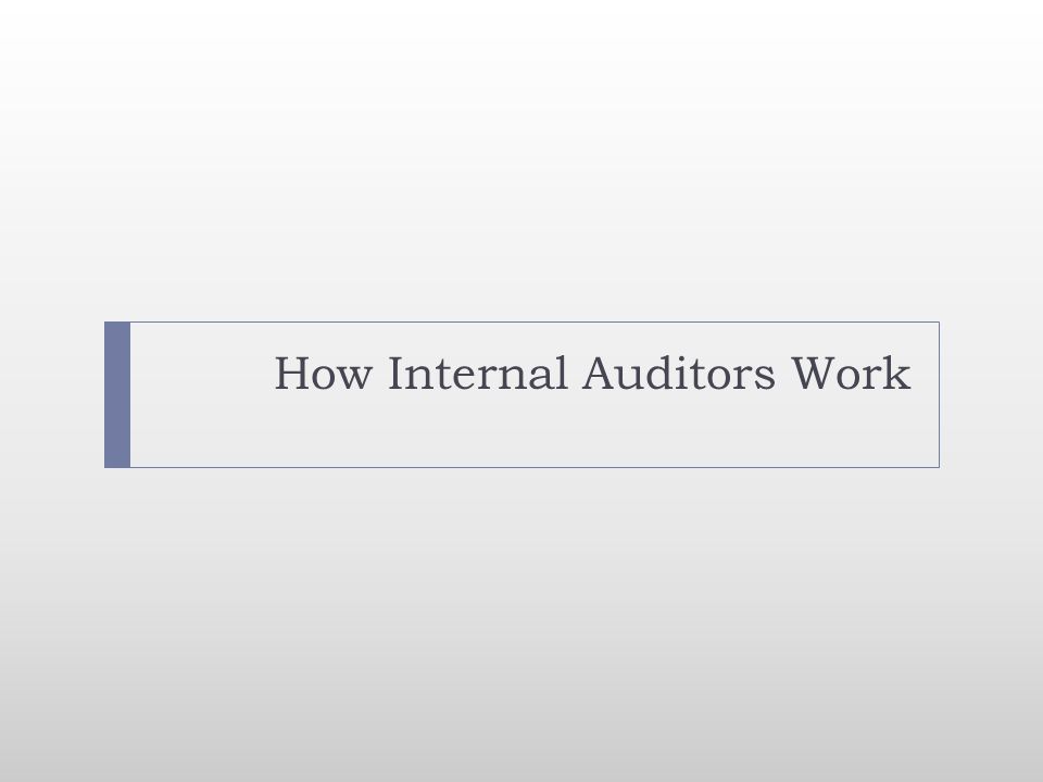 How Internal Auditors Work