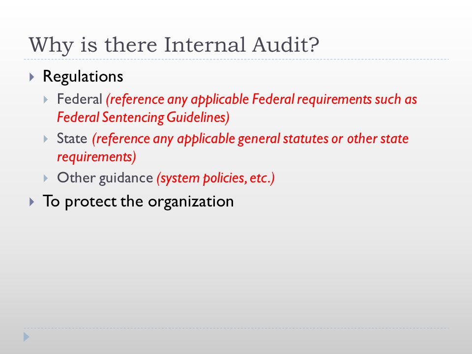 Why is there Internal Audit