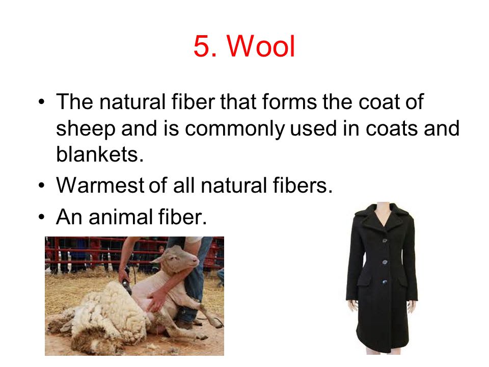 5. Wool The natural fiber that forms the coat of sheep and is commonly used in coats and blankets. Warmest of all natural fibers.