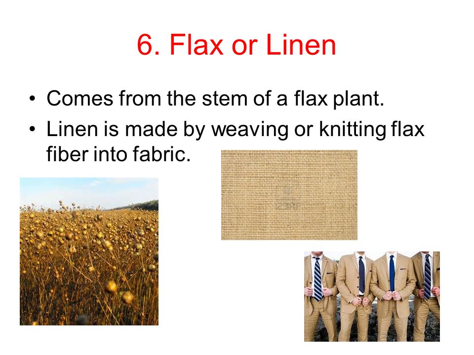 6. Flax or Linen Comes from the stem of a flax plant.