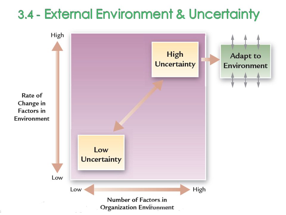 3.4 - External Environment & Uncertainty
