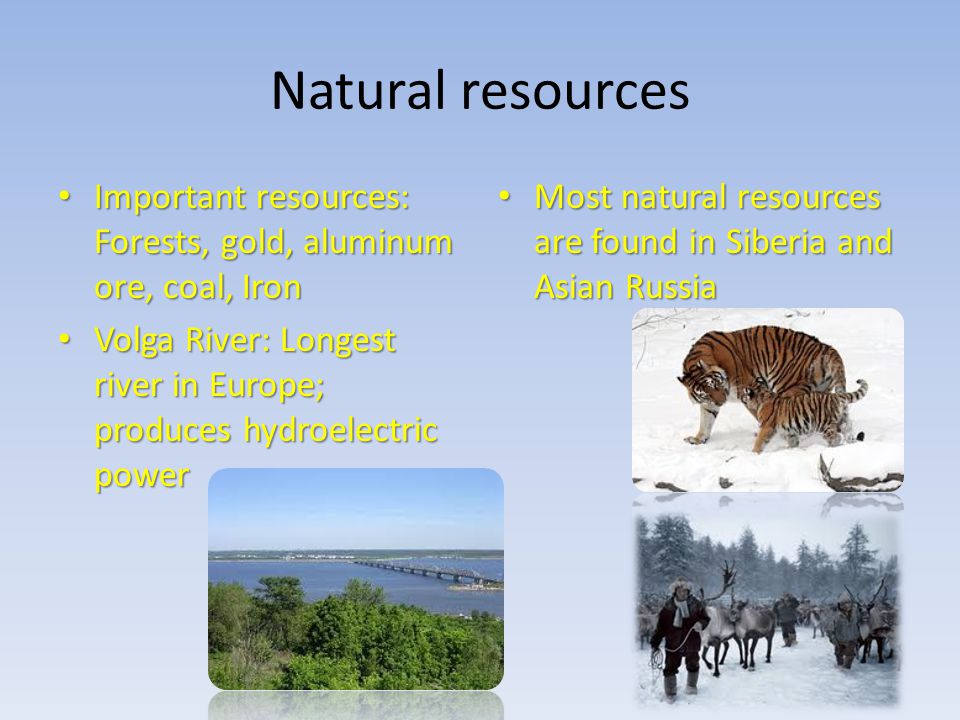 Natural resources Important resources: Forests, gold, aluminum ore, coal, Iron. Volga River: Longest river in Europe; produces hydroelectric power.