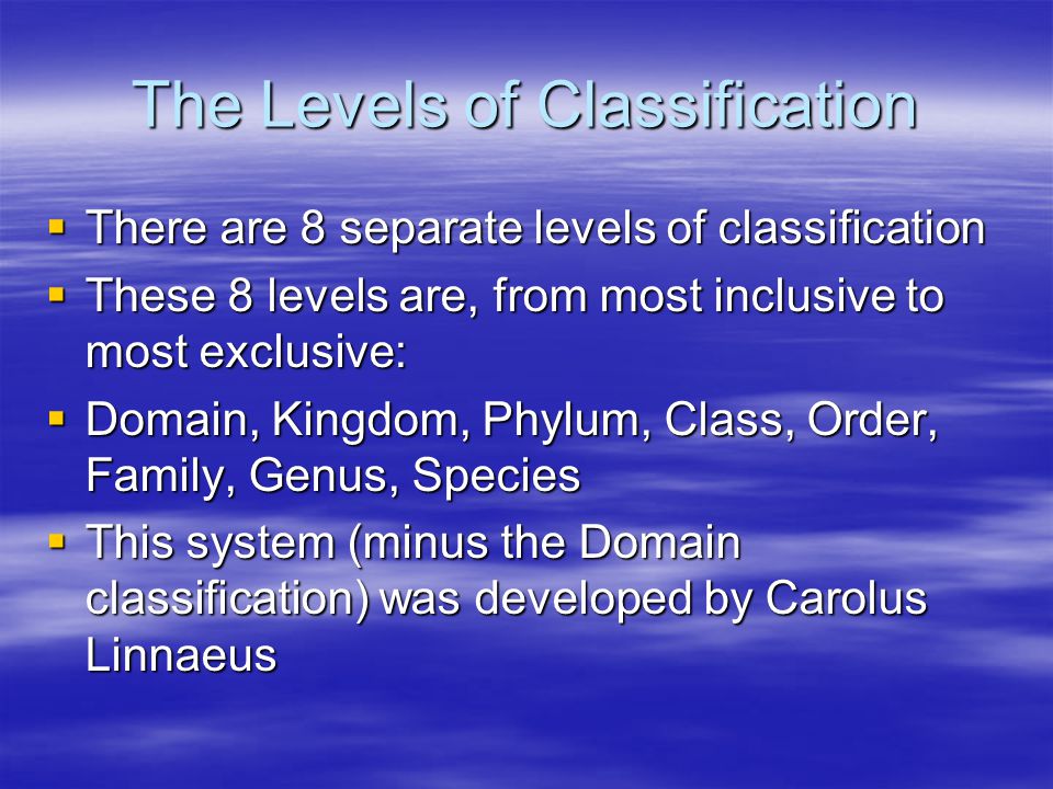 Ecosystems and Their Diversity - ppt video online download