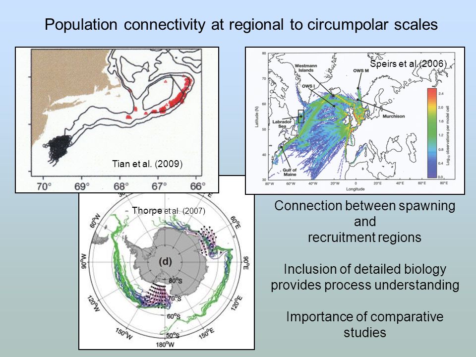 Population connectivity at regional to circumpolar scales