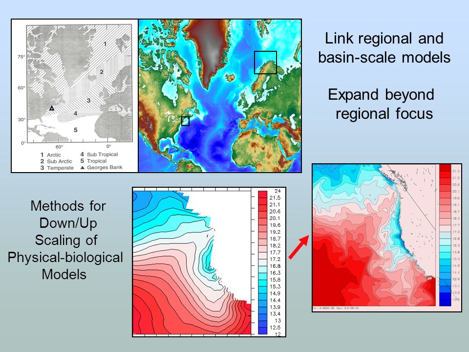 Link regional and basin-scale models Expand beyond regional focus