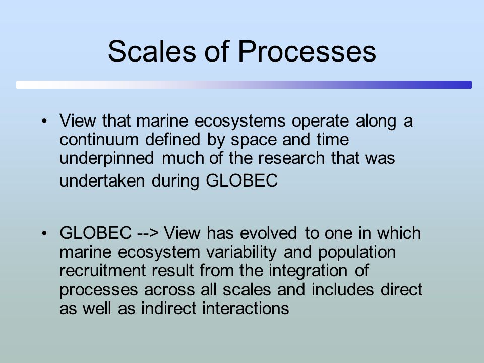 Scales of Processes