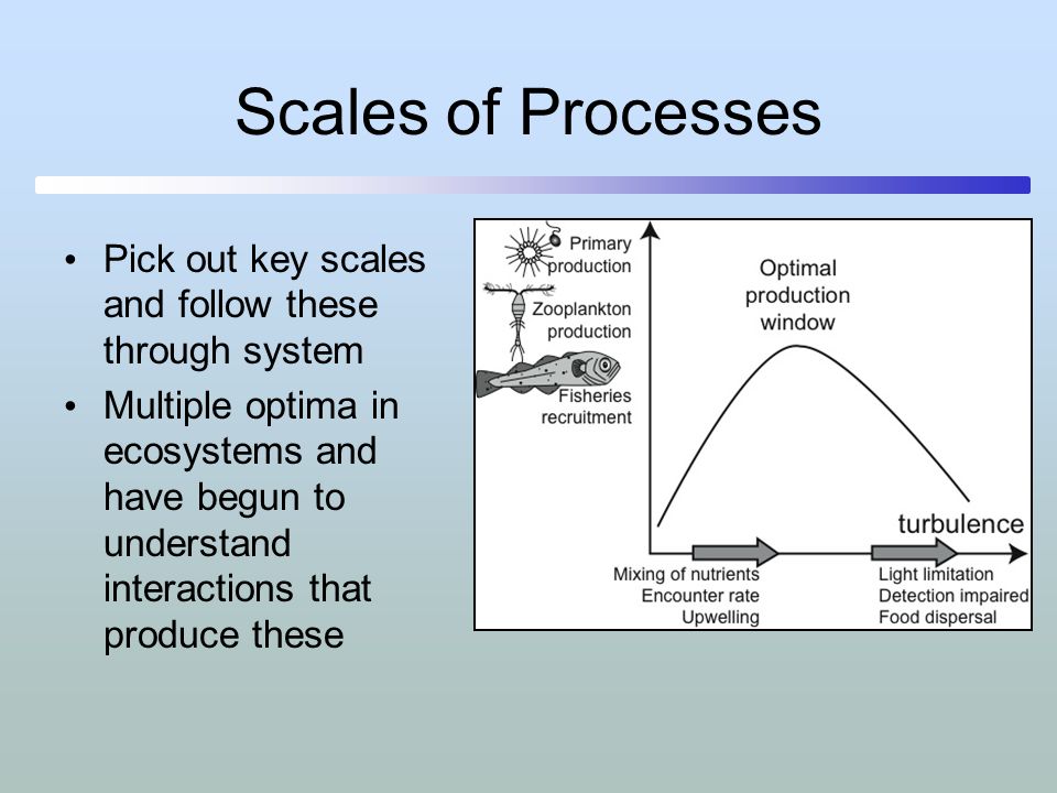 Scales of Processes Pick out key scales and follow these through system.