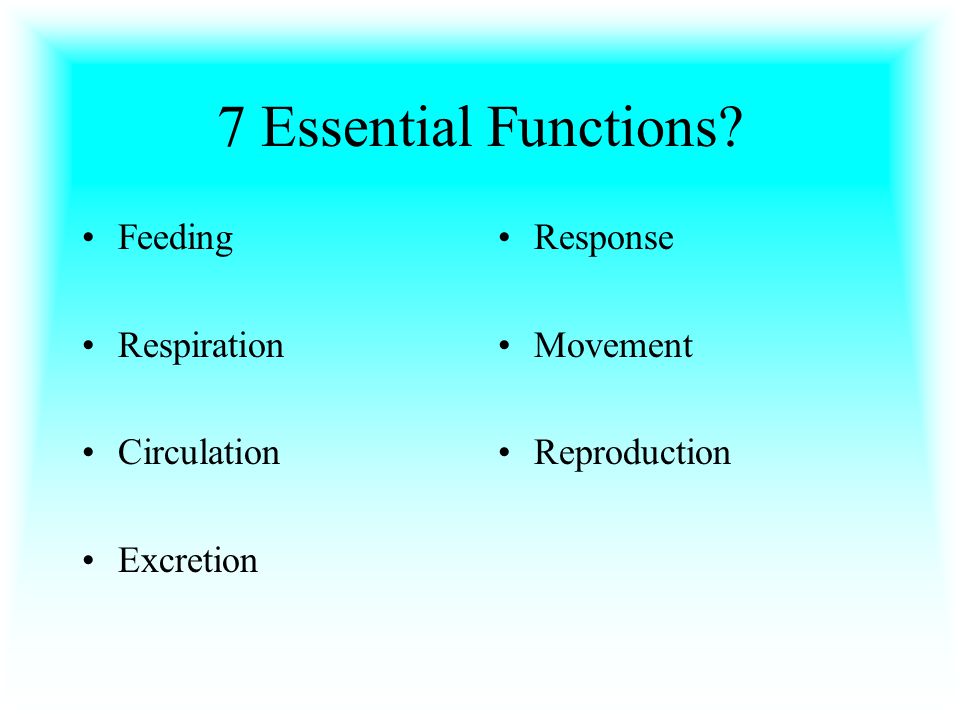 7 Essential Functions Feeding Respiration Circulation Excretion