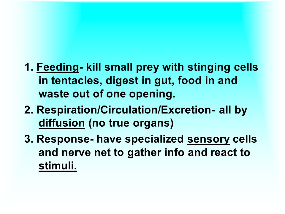 1. Feeding- kill small prey with stinging cells in tentacles, digest in gut, food in and waste out of one opening.