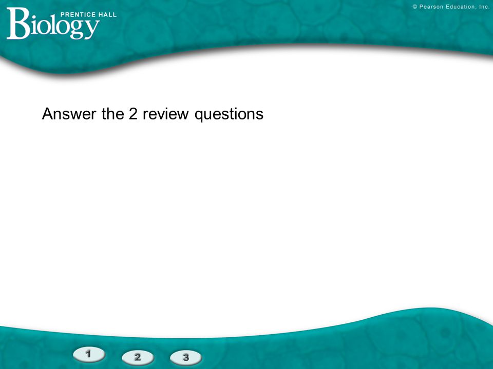 Answer the 2 review questions
