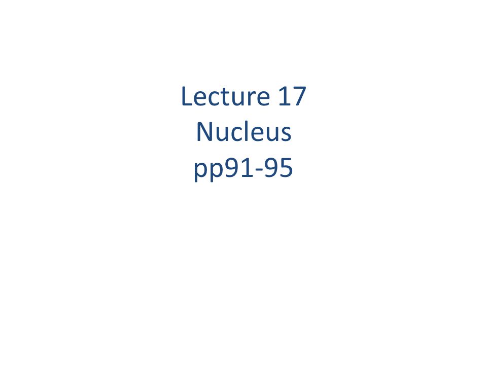 Lecture 17 Nucleus pp91-95