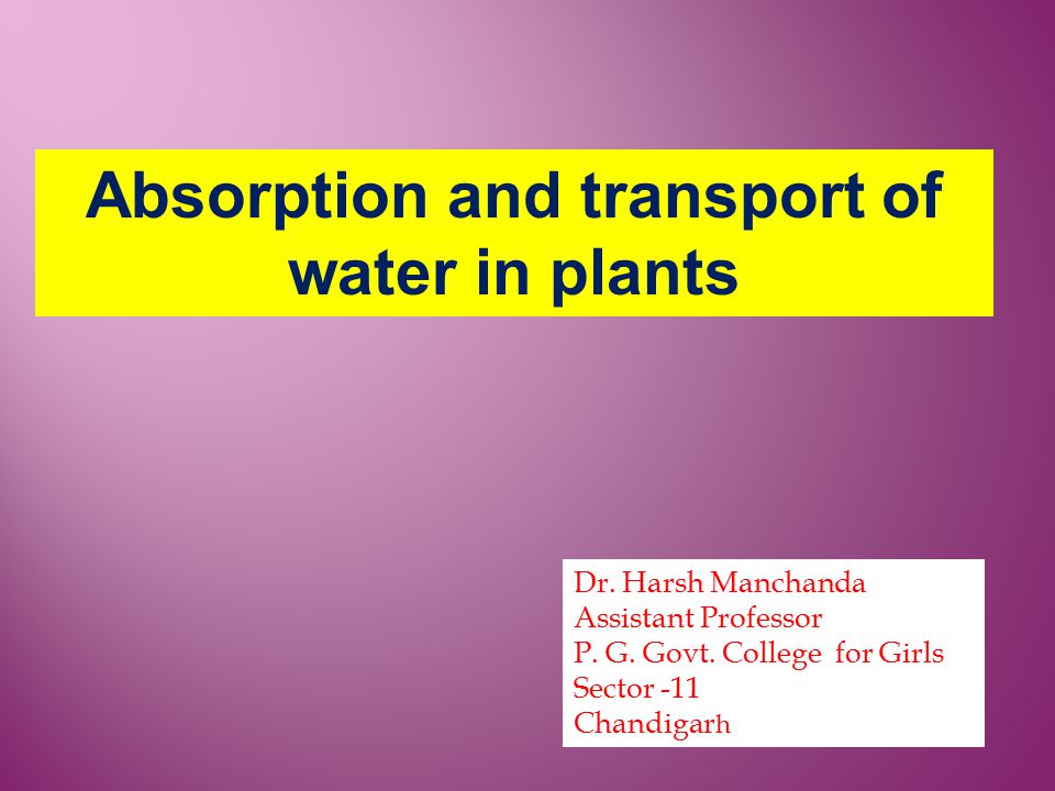 Absorption and transport of water in plants