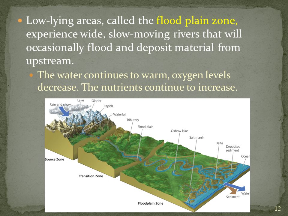 Low-lying areas, called the flood plain zone, experience wide, slow-moving rivers that will occasionally flood and deposit material from upstream.