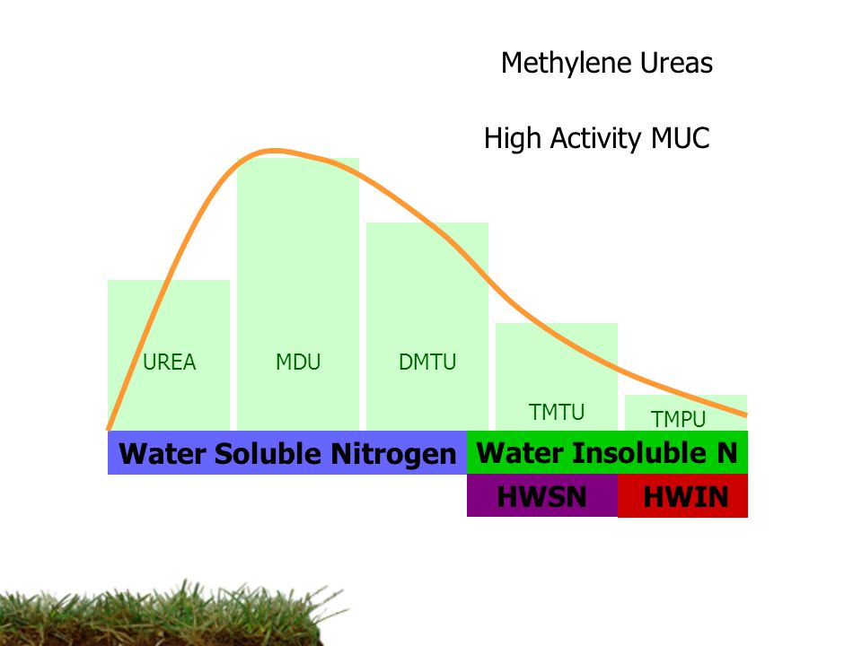 Water Soluble Nitrogen