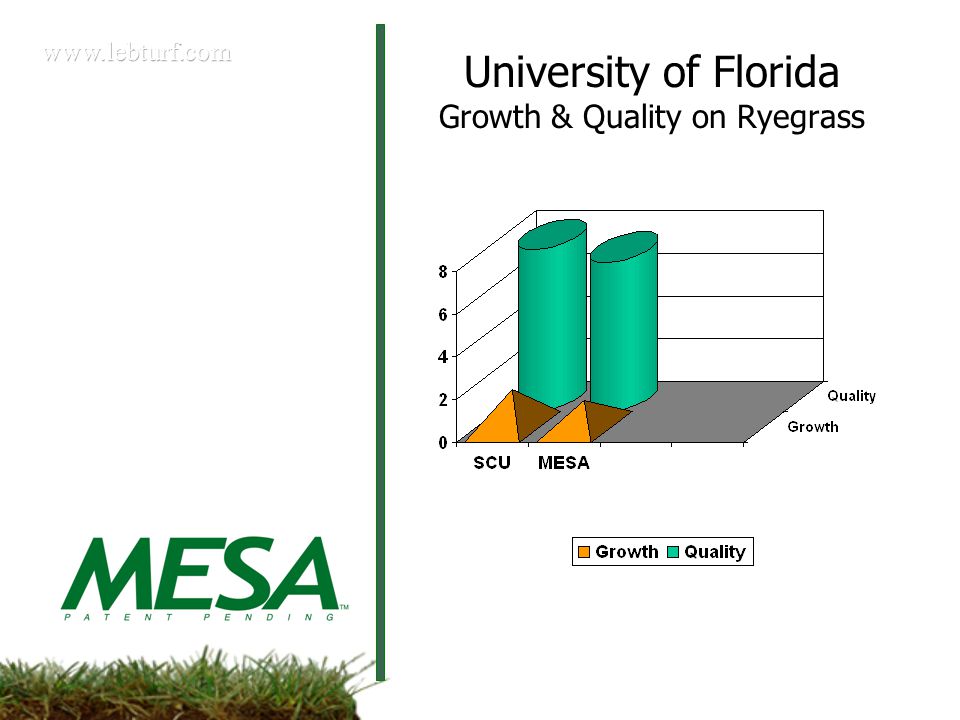 University of Florida Growth & Quality on Ryegrass