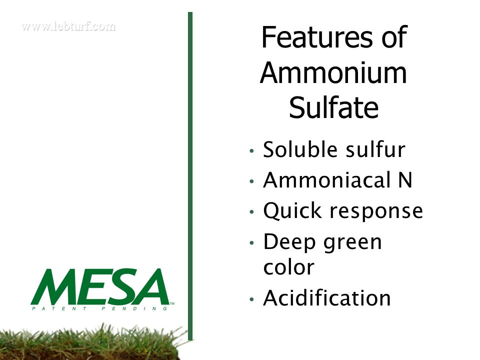 Features of Ammonium Sulfate