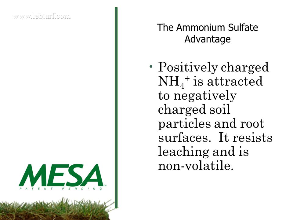 The Ammonium Sulfate Advantage
