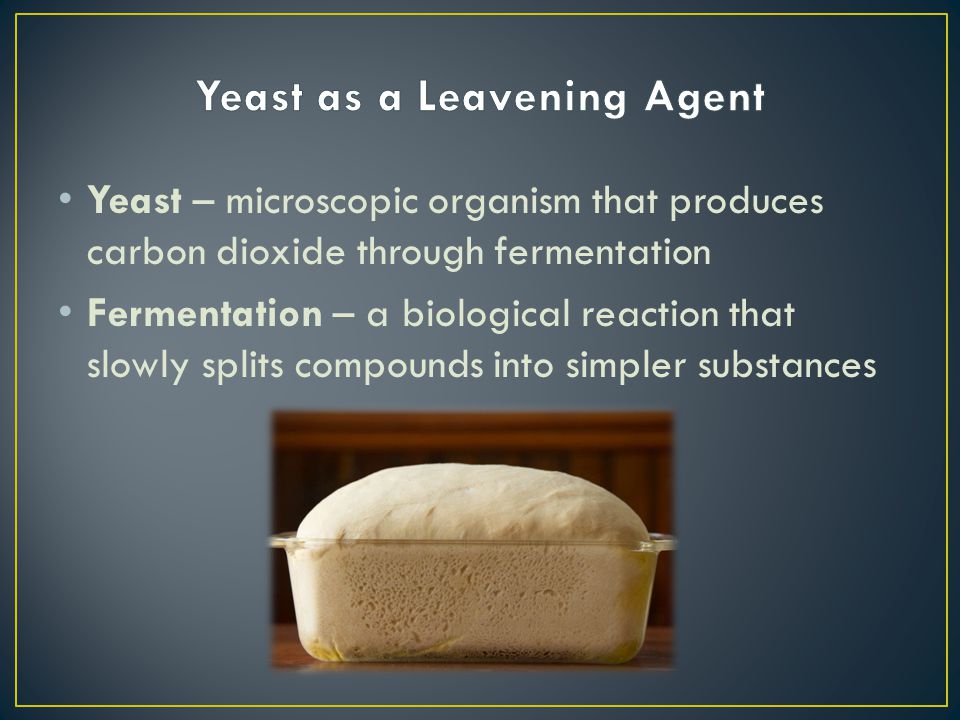 Yeast as a Leavening Agent