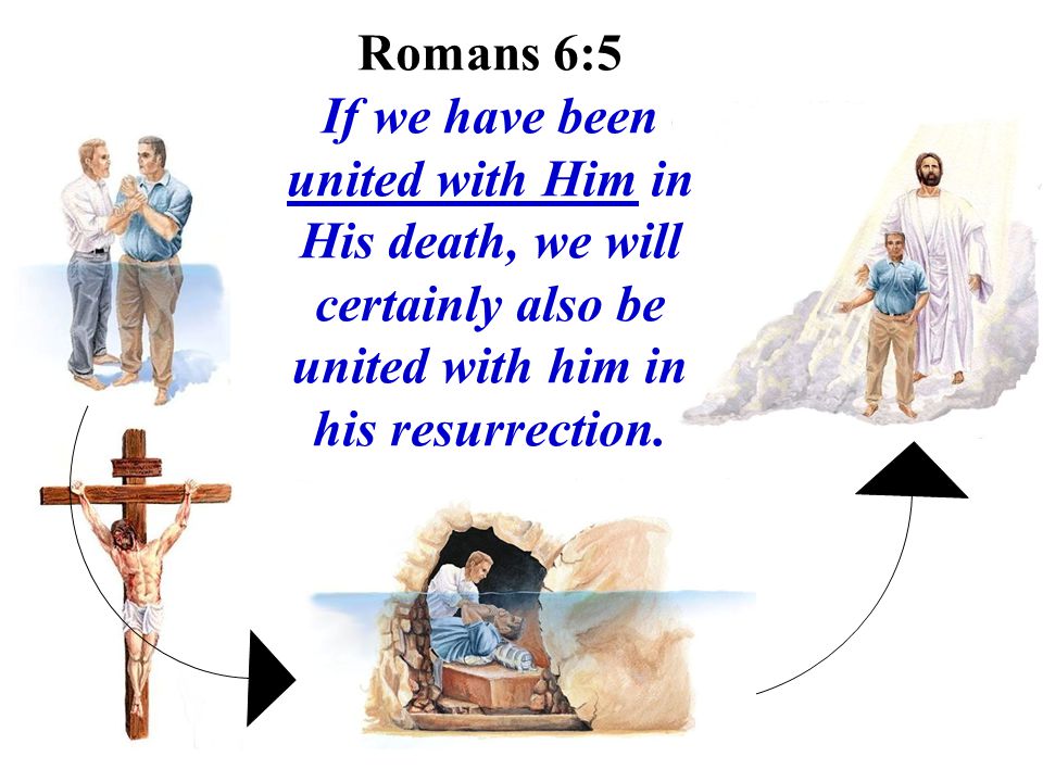 Romans 6:5 If we have been united with Him in His death, we will certainly also be united with him in his resurrection.