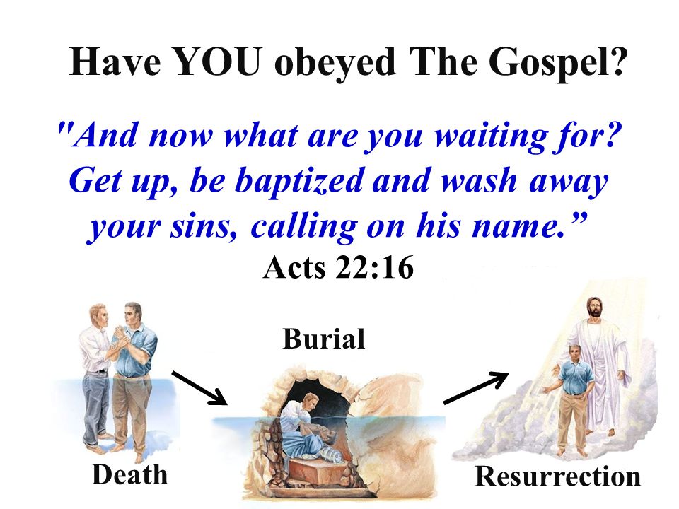 Have YOU obeyed The Gospel