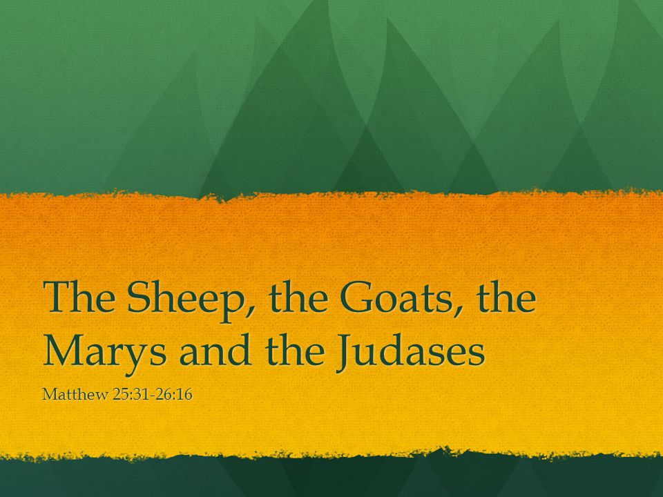 The Sheep, the Goats, the Marys and the Judases