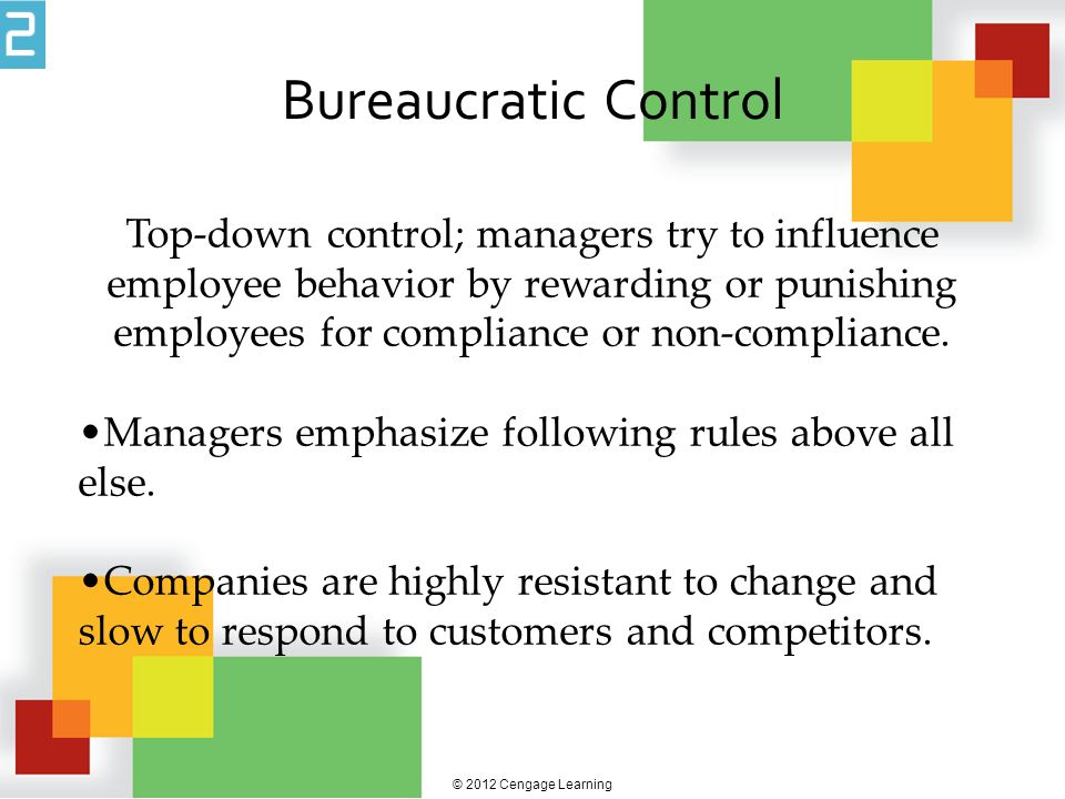 Bureaucratic Control