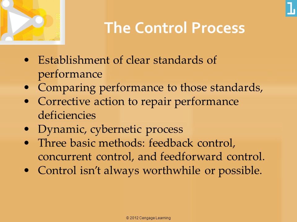 The Control Process Establishment of clear standards of performance