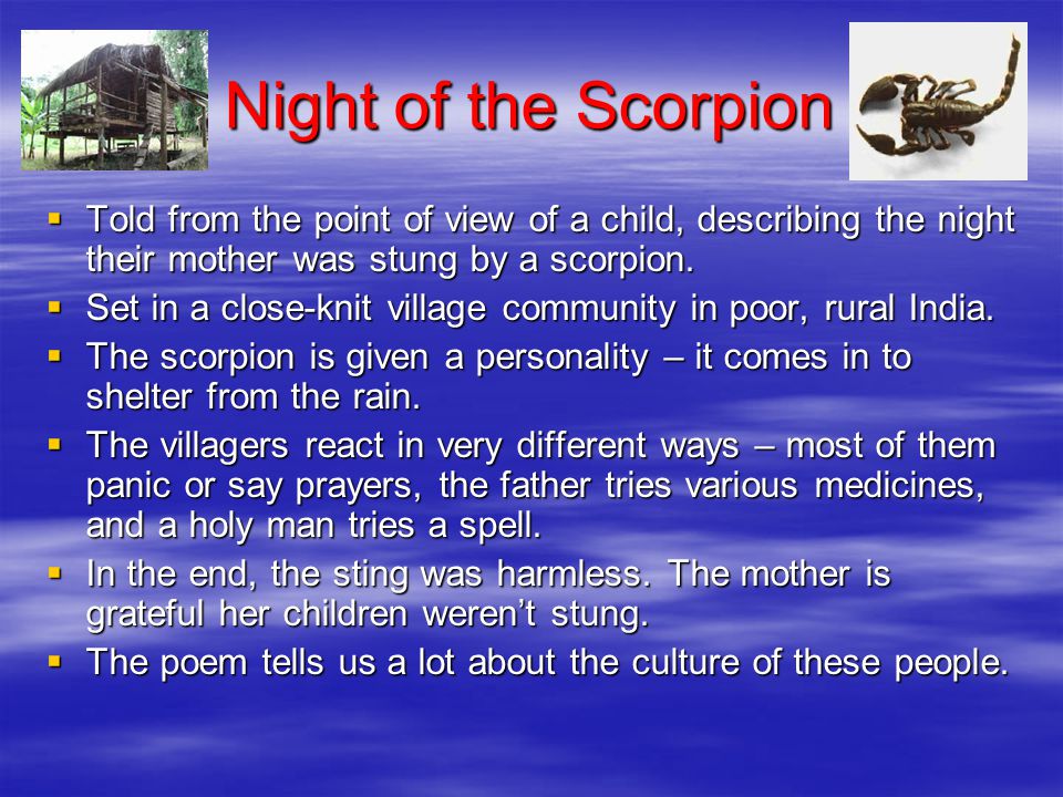 Night of the Scorpion Told from the point of view of a child, describing the night their mother was stung by a scorpion.