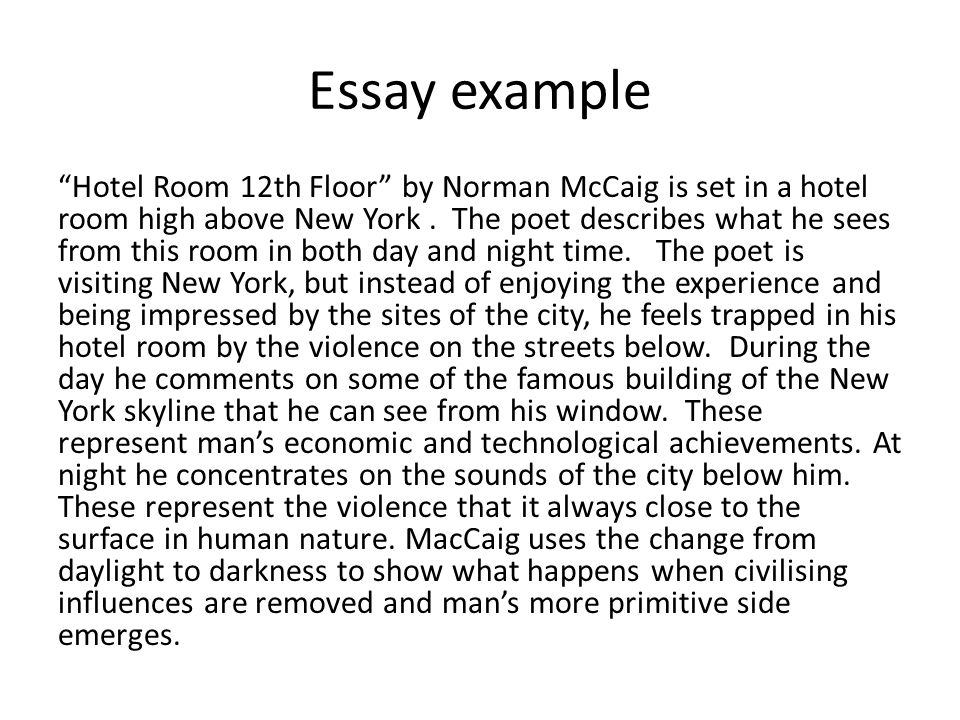 Hotel Room 12th Floor Poem Essay Example Tfgrcb Selela Info