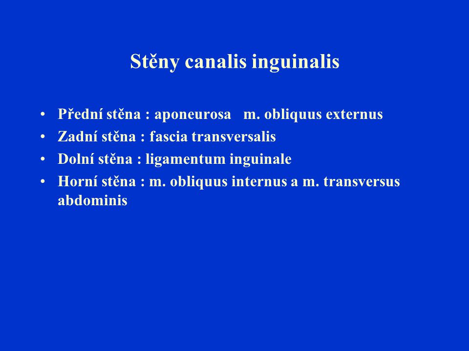 Stěny canalis inguinalis