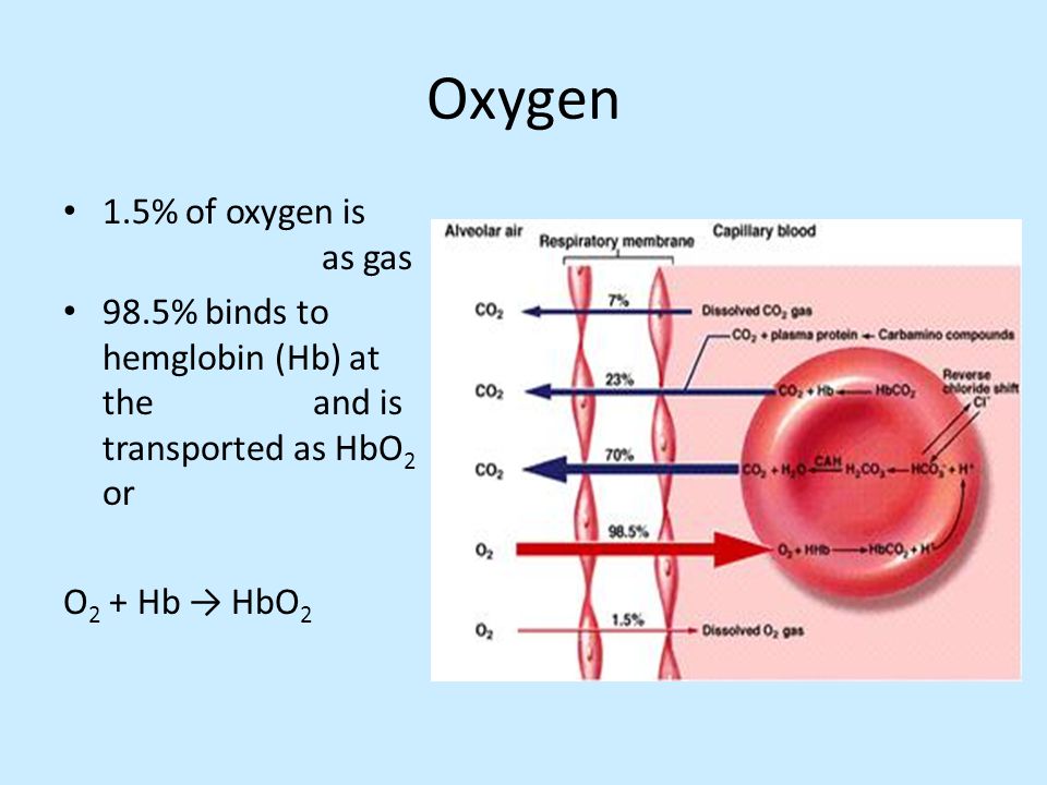 Oxygen 1.5% of oxygen is as gas
