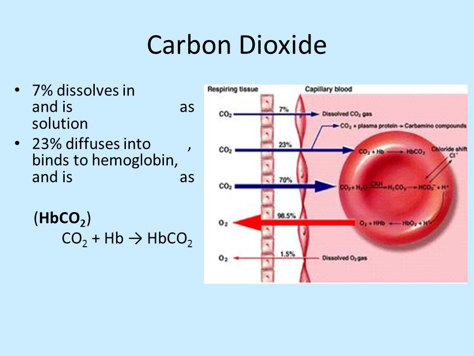 Carbon Dioxide 7% dissolves in and is as solution