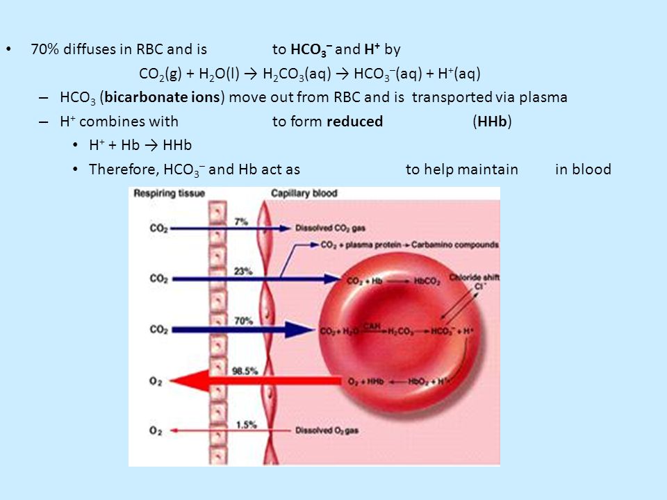 70% diffuses in RBC and is to HCO3– and H+ by