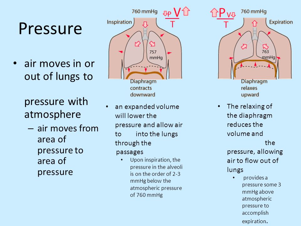 Pressure air moves in or out of lungs to pressure with atmosphere