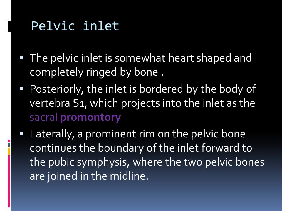 Pelvic inlet The pelvic inlet is somewhat heart shaped and completely ringed by bone .