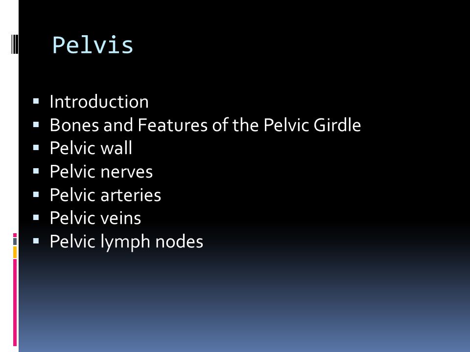 Pelvis Introduction Bones and Features of the Pelvic Girdle